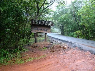 Wildernest Nature Resort Chorla Luaran gambar