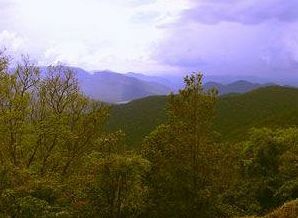 Wildernest Nature Resort Chorla Luaran gambar